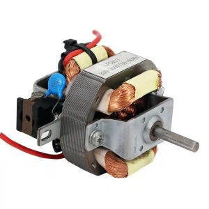 Popular Electic Hair Blower AC Motor